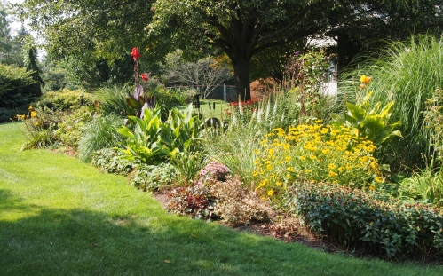 View of perennial garden