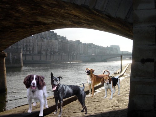 Enjoying a leisurely walk along the river Seine.