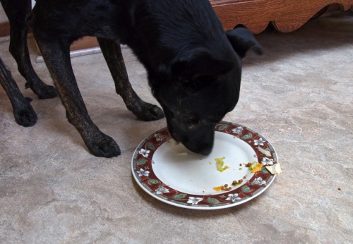 I like to fling my food off the plate. BOL!